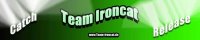 banner-ironcat