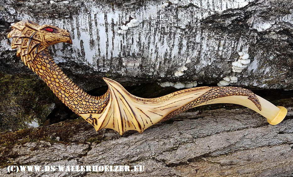 drache 1